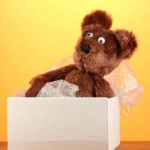 Organizing Storage Items - Fall RIver Storage